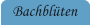 Bachblüten